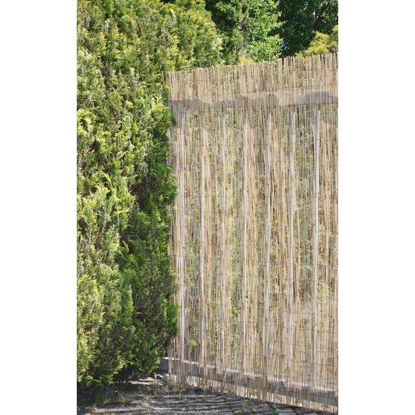 Balkonski zastor iz protja v naravni barvi 300x200 cm – Garden Pleasure-image-2