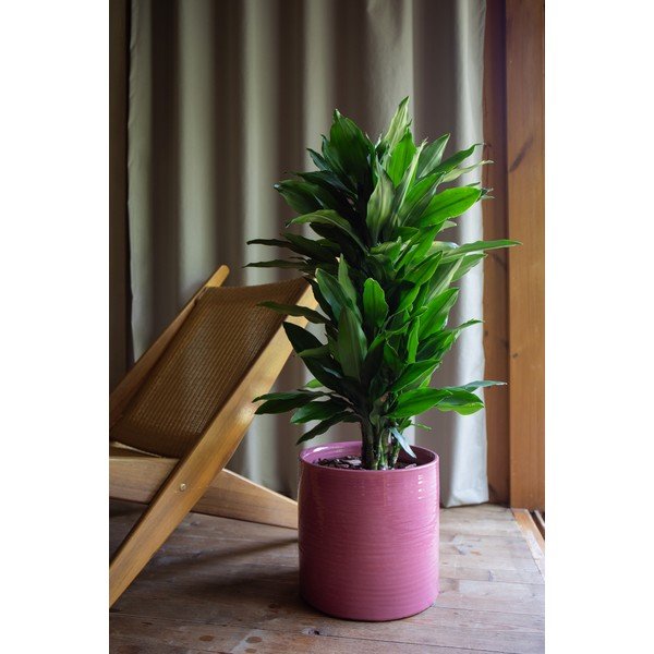 Keramičen ročno poslikan okrasni cvetlični lonec ø 25 cm Fortuna – Artevasi-image-1