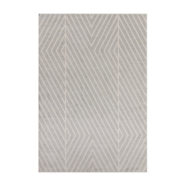 Svetlo siva preproga 200x290 cm Muse – Asiatic Carpets