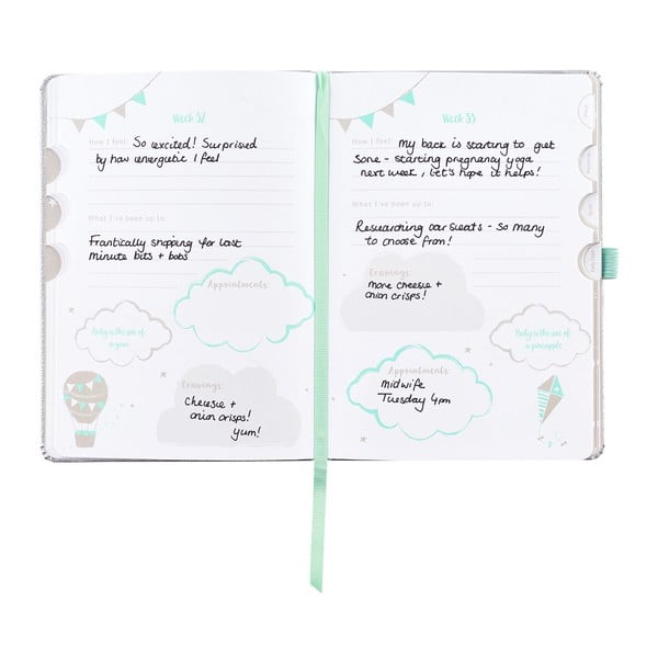 Dnevnik nosečnosti 128 strani – Busy B-image-3
