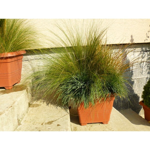 Rjav samozalivalni cvetlični lonček Plastia Bergamot, 50 x 50 cm-image-1