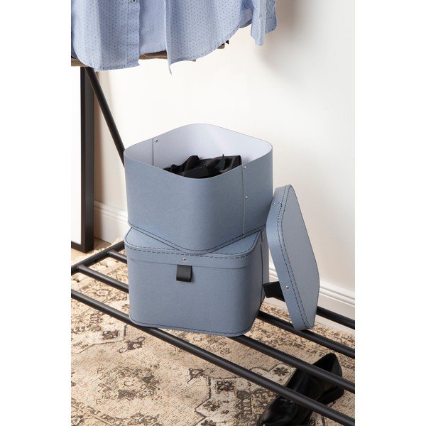 Kartonaste škatle za shranjevanje s pokrovom v kompletu 2 ks Ludvig – Bigso Box of Sweden-image-1