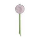 Zeleno-rožnata steklena krogla za zalivanje Flora - Hübsch