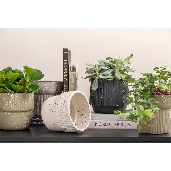 Svetlo bež betonski lonec ø 14 cm Speckles - PT LIVING-image-1
