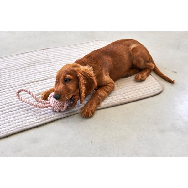 Siva bombažna podloga za pse 60x80 cm Onda Greige S – MiaCara-image-3