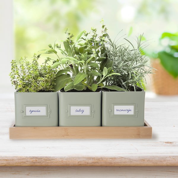 Kovinski cvetlični lonci v kompletu 3 ks za zelišča Greenish – Orion-image-1