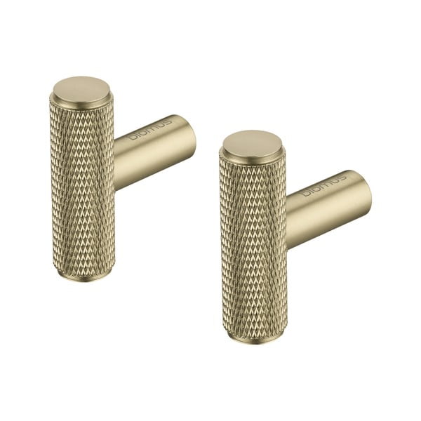 Medeninasti kovinski stenski obešalniki v kompletu 2 ks Rof – Blomus