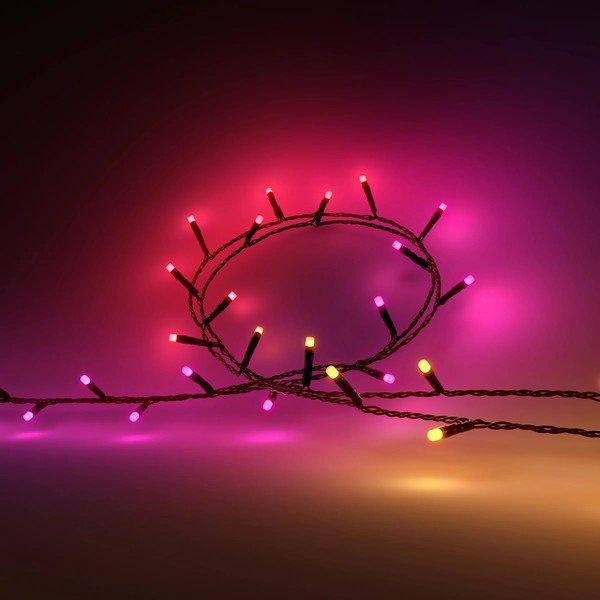 Pametna zunanja veriga 14 W Festavia – Philips Hue-image-1
