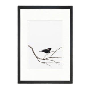 Plakat Tablo Center Birdy, 24 x 29 cm