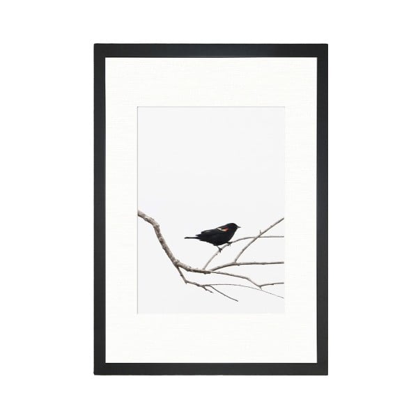 Plakat Tablo Center Birdy, 24 x 29 cm
