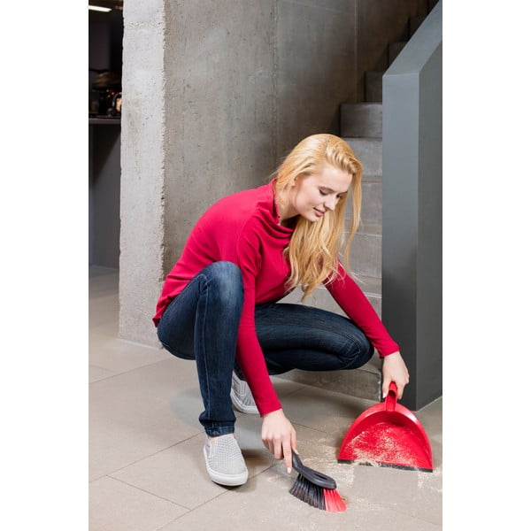 Rdeča metla in smetišnica Vileda-image-1