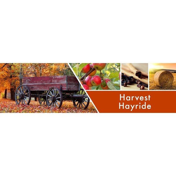 Aromaterapevtski vosek Goose Creek Harvest Hay-image-1
