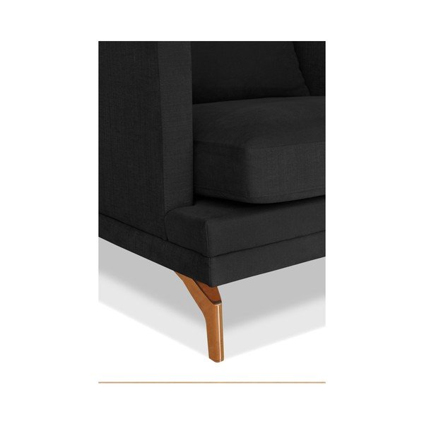 Temno siva trisedežna zofa Windsor & Co. Zofe Jupiter-image-2