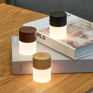 Črna LED zatemnitvena namizna svetilka s steklenim senčilom (višina 6 cm) Lemelia – Gingko