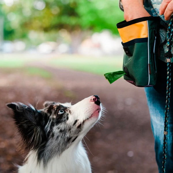 Torbica za priboljške Deluxe Moss - P.L.A.Y.-image-1