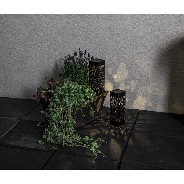 Komplet 2 zunanjih solarnih svetilk LED Star Trading Izola, višina 18 cm-image-4