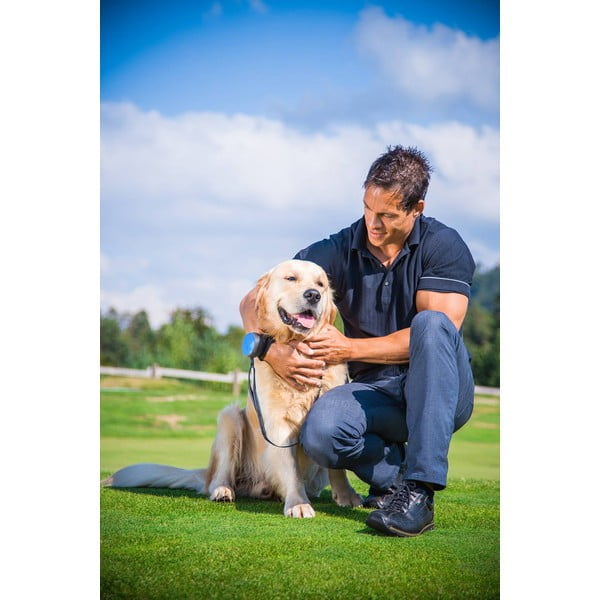 Zelen povodec velikosti S 3 Neon – Lishinu-image-3