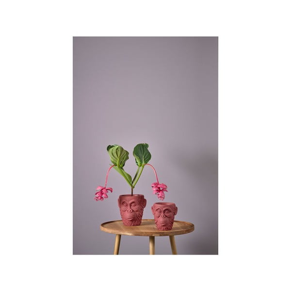 Betonski okrasni cvetlični lonec ø 19 cm Calbe – Villa Collection-image-3