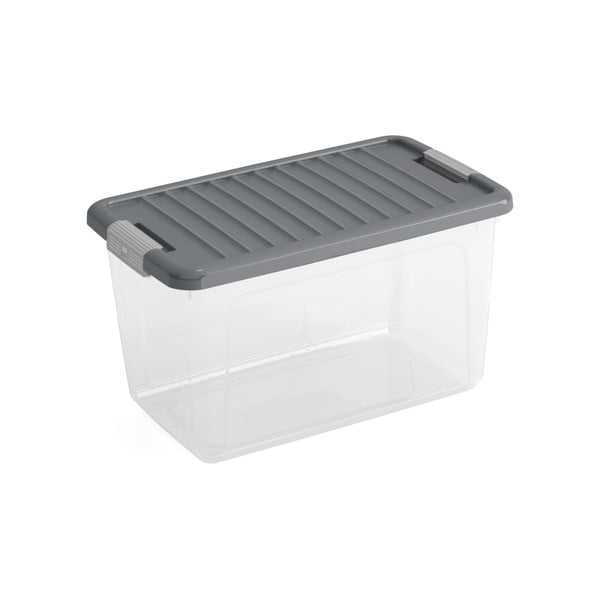 Plastična škatla za shranjevanje s pokrovom 49x30x28,5 cm W box M – KIS