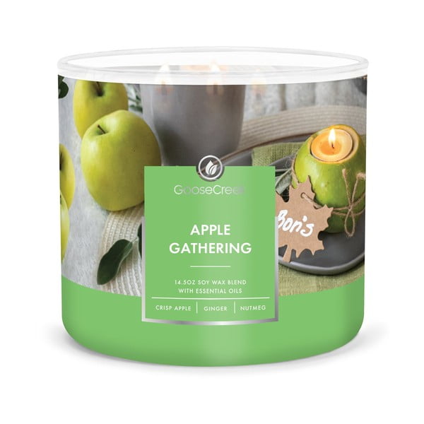 Dišeča sveča iz sojinega voska čas gorenja 35 h Apple Gathering – Goose Creek