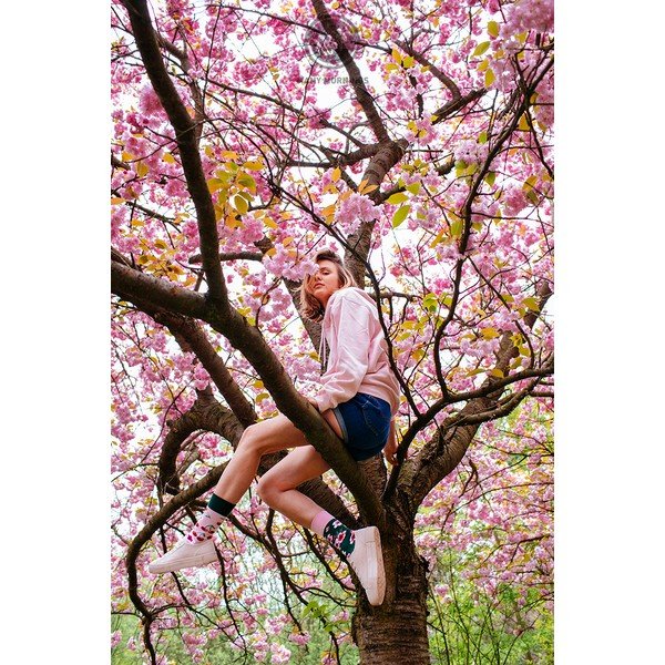 Nogavice Many Mornings Cherry Blossom, velikost 35-38-image-1