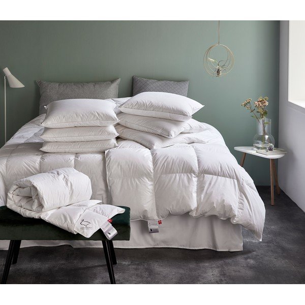 Polnilo za blazino s polnilom iz perja 70x80 cm Jack the Dullard – Ringsted Dun-image-2