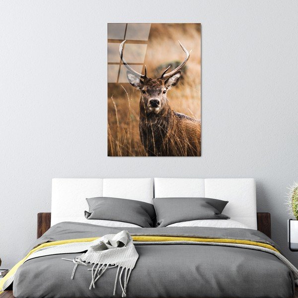 Steklena slika 70x100 cm Deer – Wallity-image-4