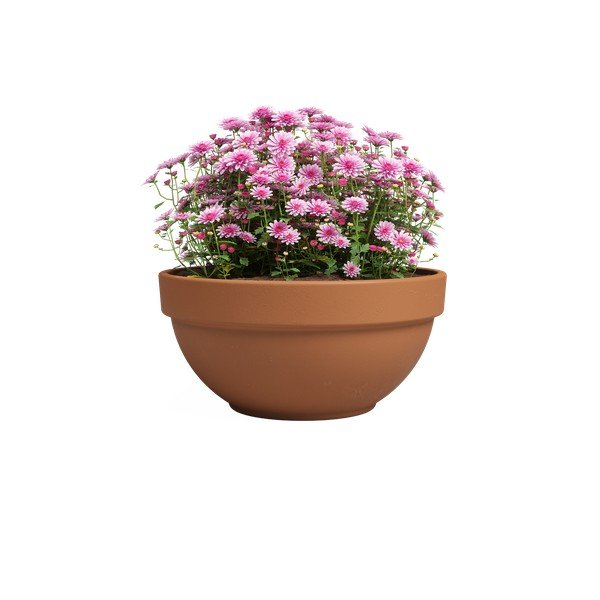 Cvetlični lonec iz terakote ø 20 cm Amalia Campana – Artevasi-image-2