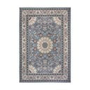 Siva/bež zunanja preproga 240x340 cm Flair – Hanse Home
