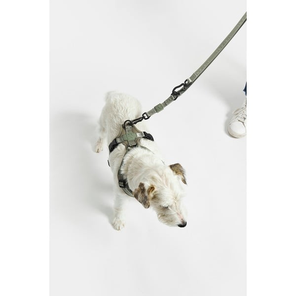 Bež preklopni povodec dolžina 200 cm Modena Greige 20 mm – MiaCara-image-4