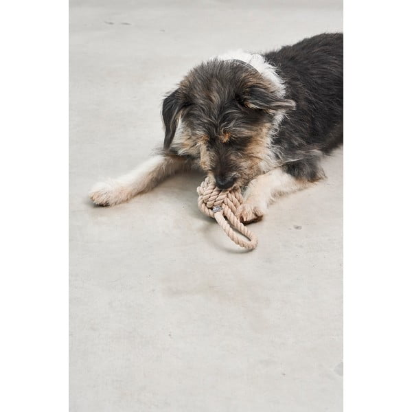 Igrača za pse Nodo Greige – MiaCara-image-1