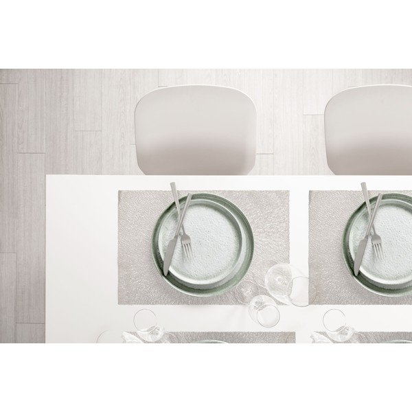 Srebren pogrinjek Tiseco Home Studio, 30 x 45 cm-image-1