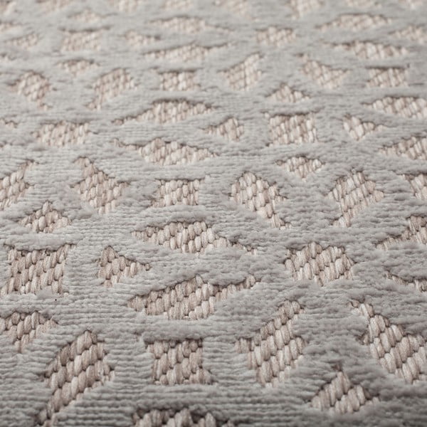 Siva zunanja preproga 230x160 cm Argento - Flair Rugs-image-3