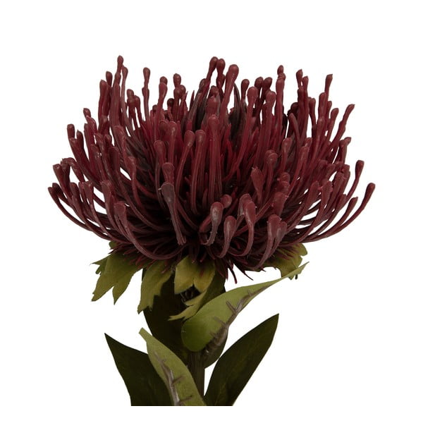 Umetna rastlina (višina 60 cm) Protea – PT LIVING-image-1