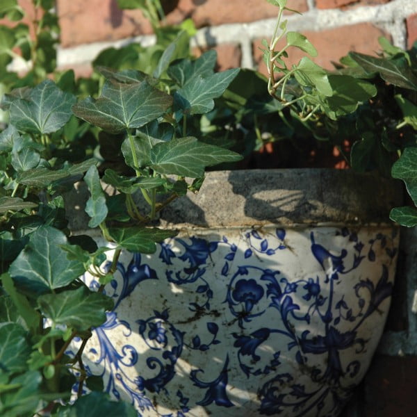 Keramičen viseči in stenski cvetlični lonec – Esschert Design-image-2