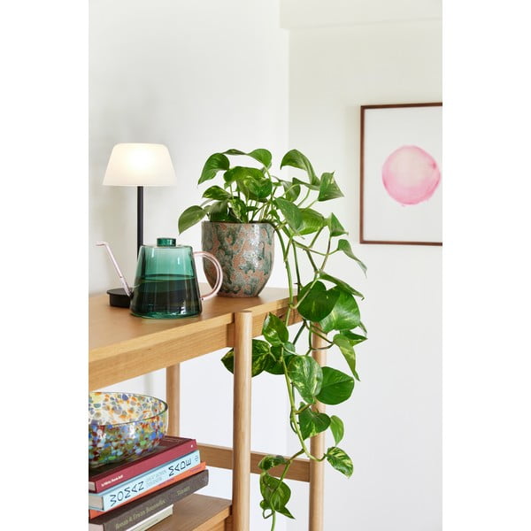 Keramični ročno izdelani podstavki za cvetlične lonce v kompletu 2 ks ø 15 cm Normu – Hübsch-image-1