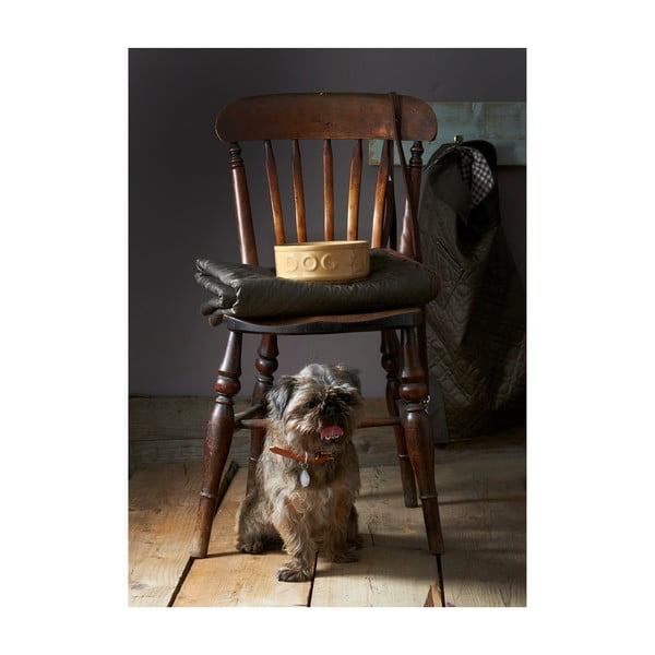 Lončena posoda za pse Mason Cash Dog Cane, ø 25 cm-image-2