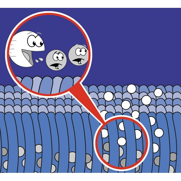 Pripomoček za čiščenje preprog 500 ml Nano - Maximex-image-1