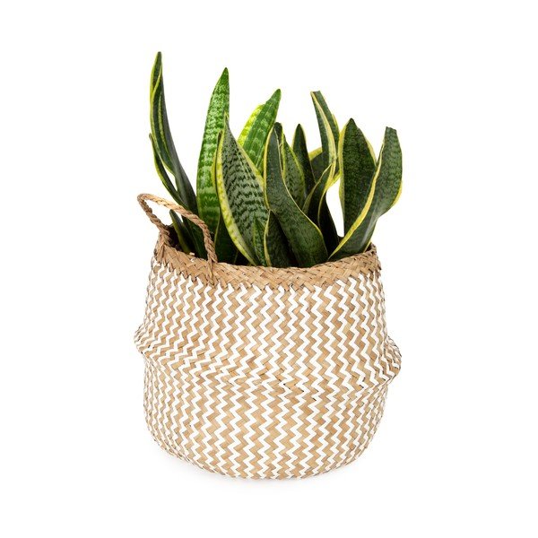 Svetla košara za shranjevanje iz morske trave Compactor Zic Zac, ⌀ 27 cm-image-1