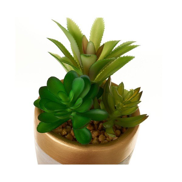 Umetne rastline v kompletu 4 ks (višina 17 cm) Cactus – Casa Selección-image-1