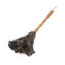 Omelo iz nojevega perja – Addis