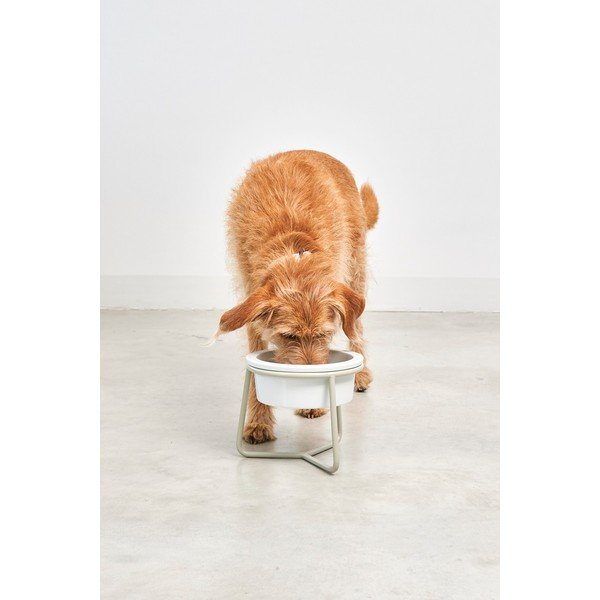 Porcelanasta posoda s podstavkom za pse ø 20 cm Pranzo Greige M – MiaCara-image-2