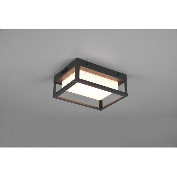 Zunanja stenska svetilka LED (višina 24 cm) Witham - Trio-image-2