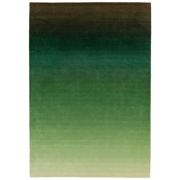 Zeleno-siva preproga Asiatic Carpets Ombre, 160 x 230 cm