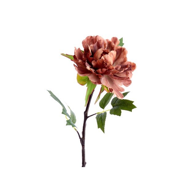 Umetna rastlina (višina 65 cm) Peonia – Light & Living-image-1
