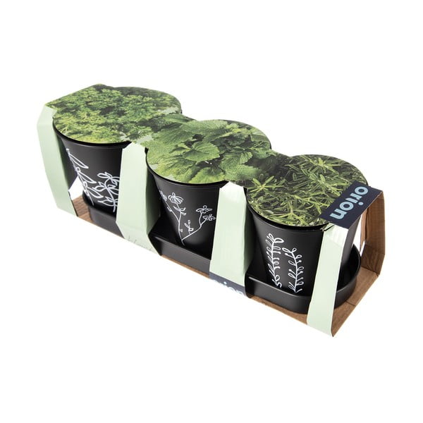 Kovinski cvetlični lonci v kompletu 3 ks za zelišča ø 11 cm Black – Orion-image-3