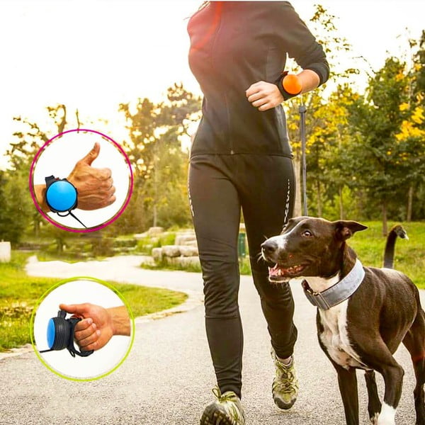 Črn povodec velikosti M 3 – Lishinu-image-2