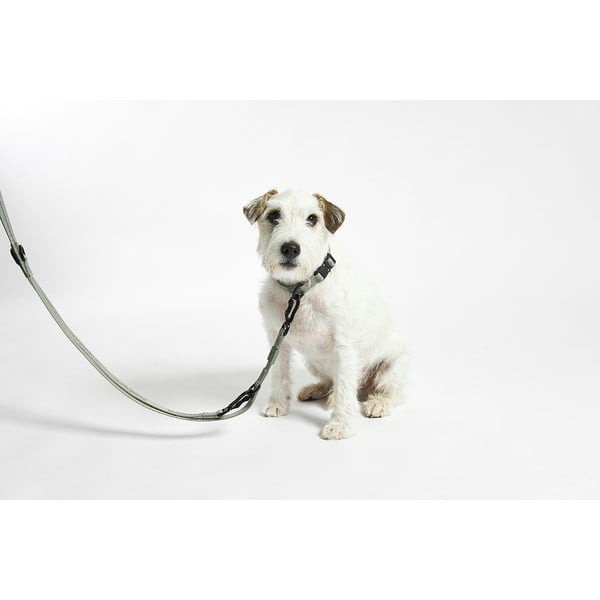 Bež preklopni povodec dolžina 200 cm Modena Greige 20 mm – MiaCara-image-3