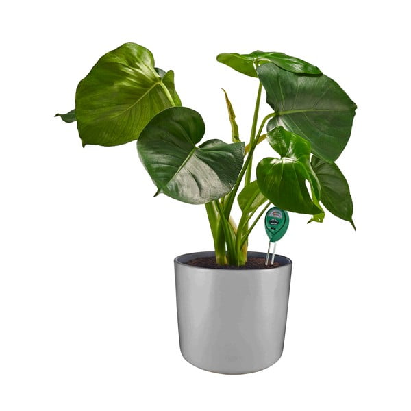 Merilec pH zemlje – Garden Pleasure-image-1