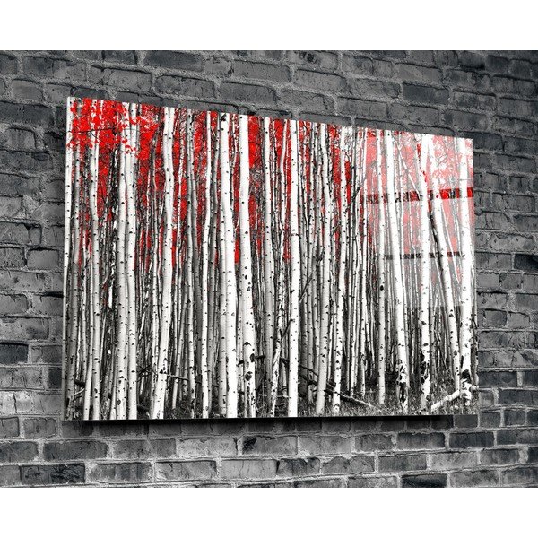 Steklena slika Insigne Birches-image-3